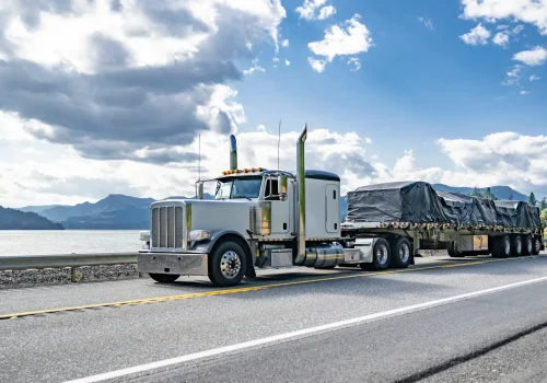 S0ZNHlz95pPuZ6y7lS4TYpHm74